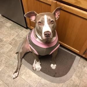 Meet your Posher, Terri